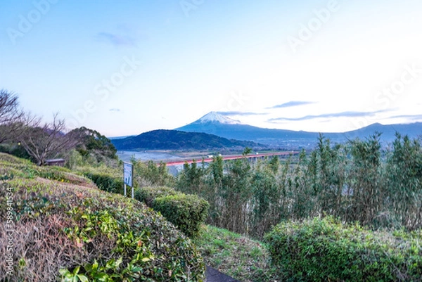 Fototapeta 夜明けの富士山（静岡県富士市）