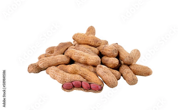 Fototapeta Dried peanuts on   transparent png