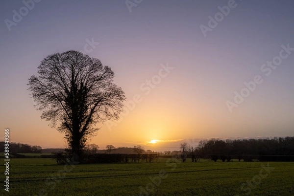 Fototapeta Norwich winter countryside 
