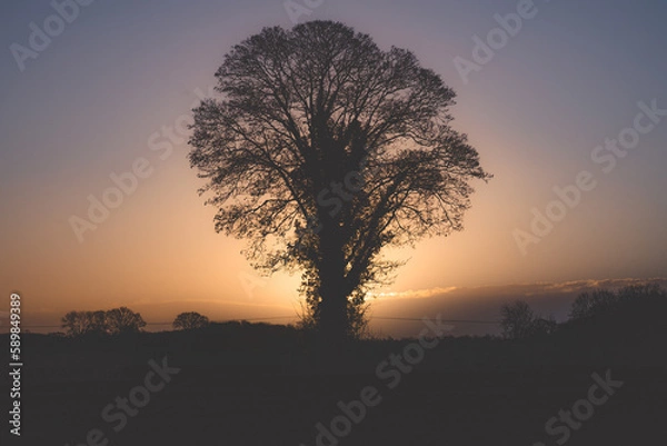 Obraz Norwich winter countryside 