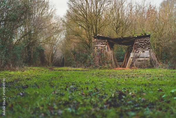 Obraz Norwich winter countryside 