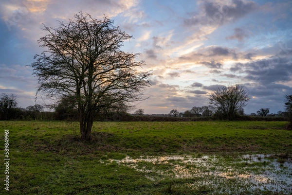 Obraz Norwich winter countryside 