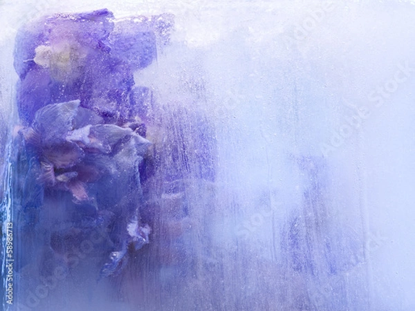 Fototapeta Background of   delphinium flower frozen in ice