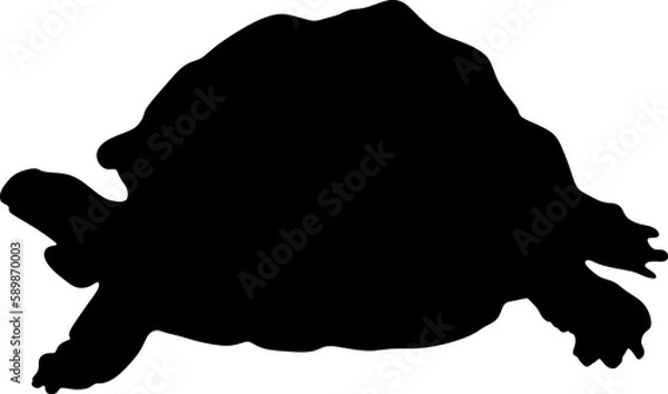 Obraz turtle silhouette vector file.background, illustration