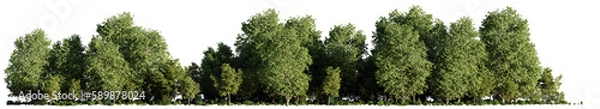 Obraz landscape with trees and bushes, isolated on transparent background panorama banner