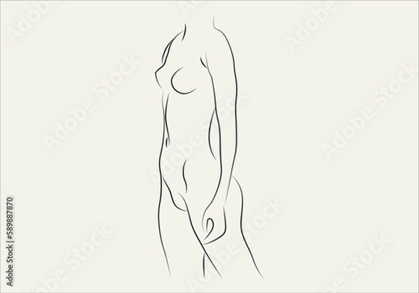 Fototapeta Silhouettes of lovely lady. Beautiful girl stand in different pose. The figures of women are nude, feminine and slender. Vector illustration.