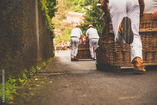 Obraz Sled ride madeira