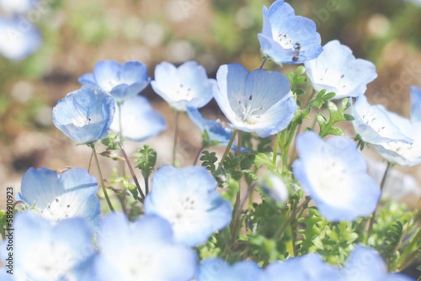 Obraz OLYMPUS DIGITAL CAMERA