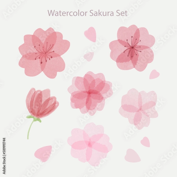 Fototapeta Set of beautiful hand drawn watercolor sakura flowers with petals