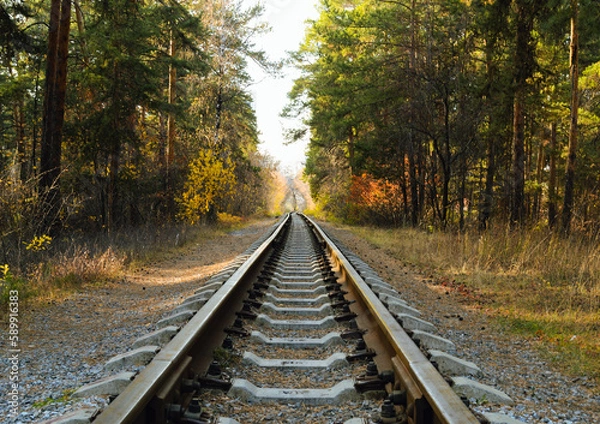 Obraz Railway in the middle of the autumn forest in the evening sunlight