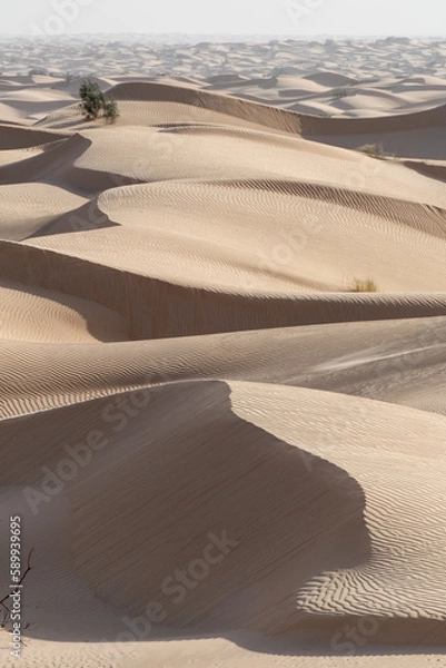 Obraz south part of Tunisia is full of suprises