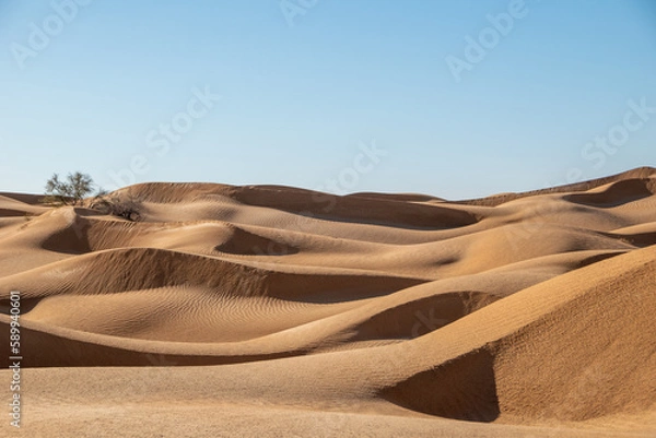 Obraz south part of Tunisia is full of suprises
