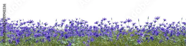 Obraz Evergreen flowers and grass field in nature,  Flowres on garden in springtime, Tropical forest isolated on transparent background - PNG file, 3D rendering  for create and design or etc