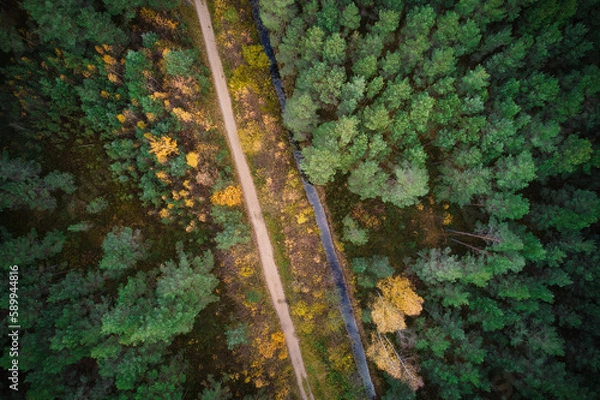 Fototapeta Aerial full frame view from drone of idyllic country road leading through gallant pine and birch forests in dark green colors in cloudy rainy weather 