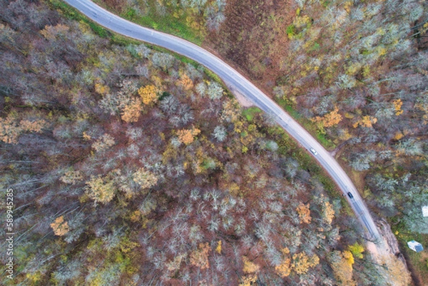 Fototapeta Aerial full frame view from drone of idyllic country road leading through gallant pine and birch forests in dark green colors in cloudy rainy weather 