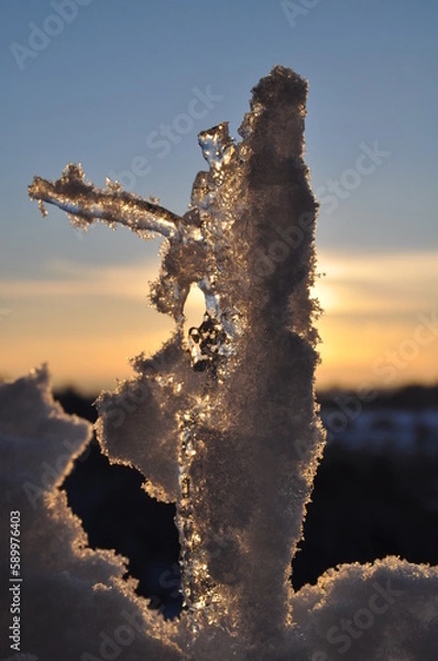 Obraz litte ice crystals in the sunset 
