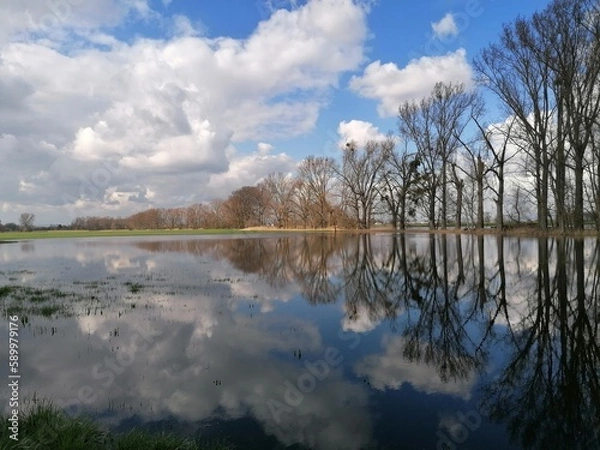 Fototapeta reflection on the water 