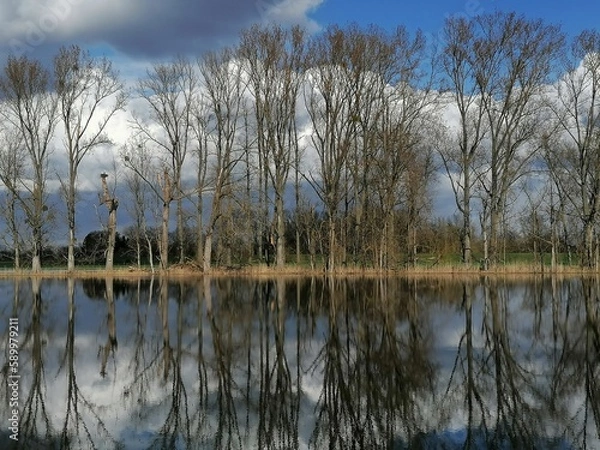 Obraz reflection on the water