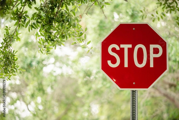 Obraz Stop sign with surrounded by trees on a sunny day in the USA