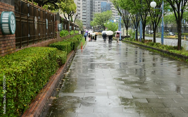 Fototapeta 雨と傘