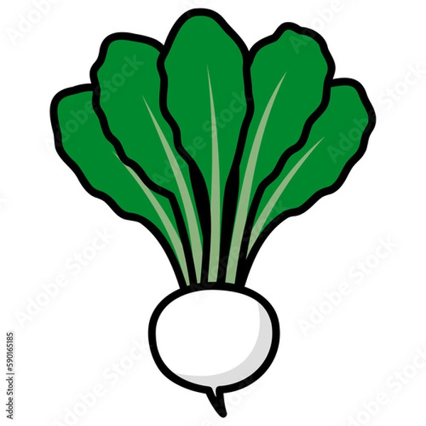 Obraz 太い線で描かれたカットイラスト / 1個の葉付きのカブ