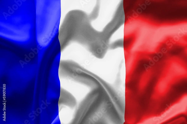 Obraz French Flag