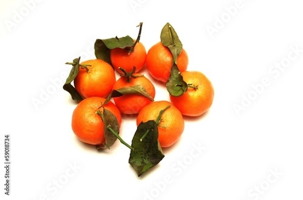 Obraz Мандарины.