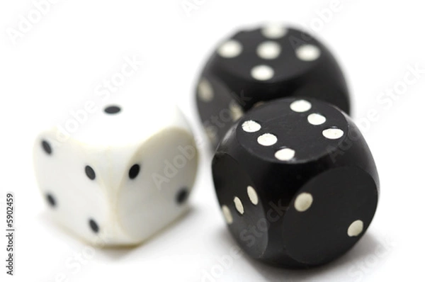 Obraz Playing bones isolsted on white