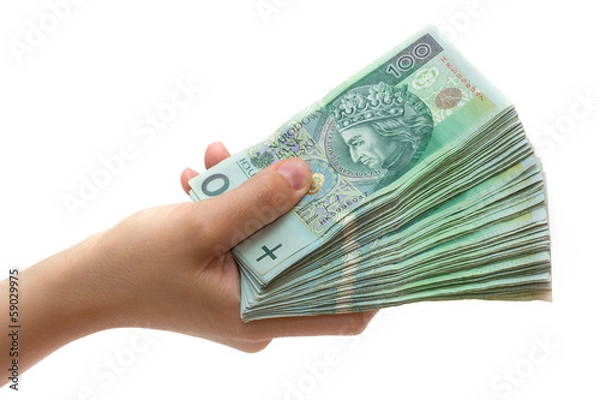 Fototapeta stack of polish banknotes in hand