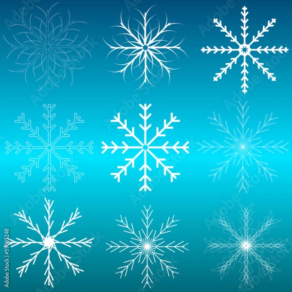 Fototapeta Set of snowflakes.
