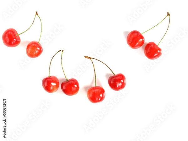 Fototapeta 白背景に沢山のサクランボ、さくらんぼ、佐藤錦、山形県産のチェリー