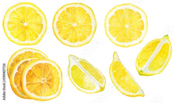 Obraz 水彩画イラスト　くし切りのカットレモンとスライスレモン　素材集