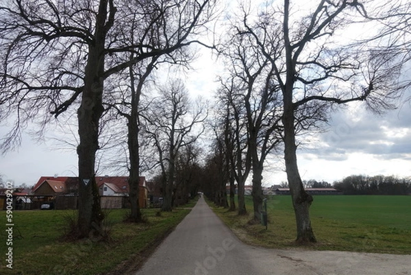 Obraz 86609 Donauwörth