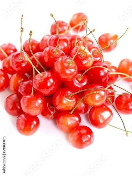 Obraz 白背景に沢山のサクランボ、さくらんぼ、佐藤錦、山形県産のチェリー