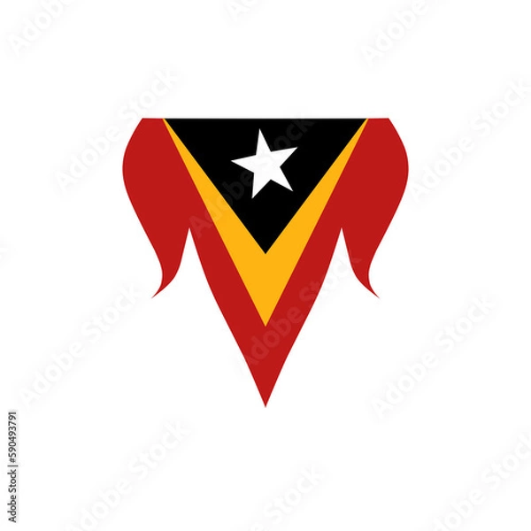 Fototapeta East Timor flag icon, illustration of national flag design with elegance concept