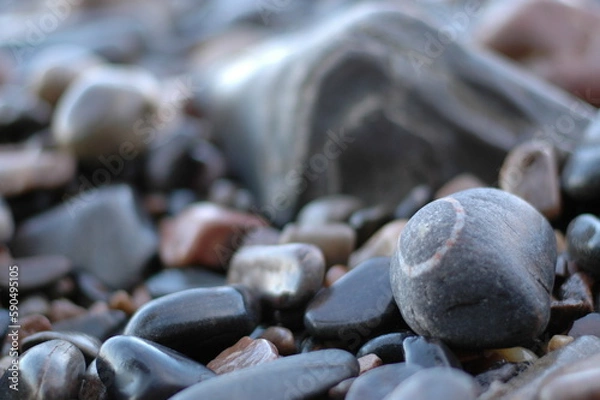 Fototapeta Grey pebble with white circle on beach
