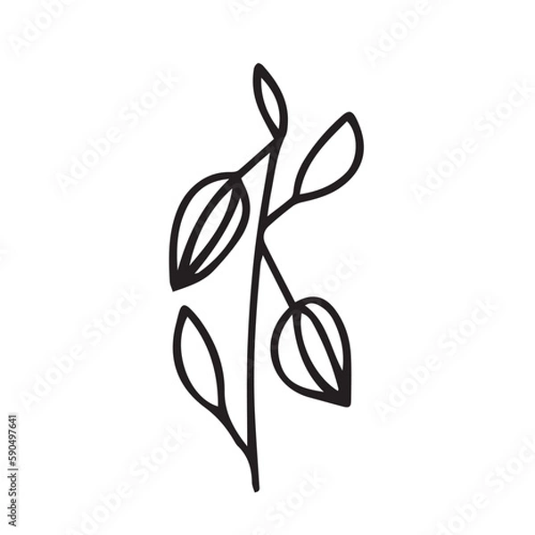 Obraz Vector winter cherry doodle illustration