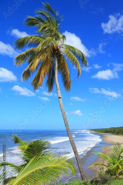 Obraz Montelimar beach