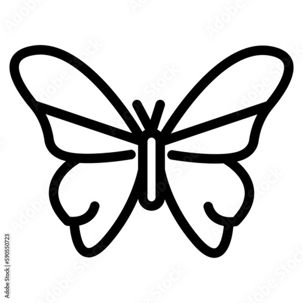 Fototapeta butterfly