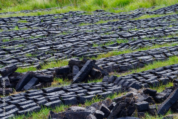 Obraz turf bricks drying in the sun
