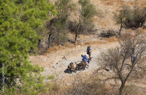 Fototapeta Promenade à dos d'âne