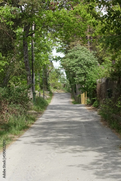 Obraz path in the park