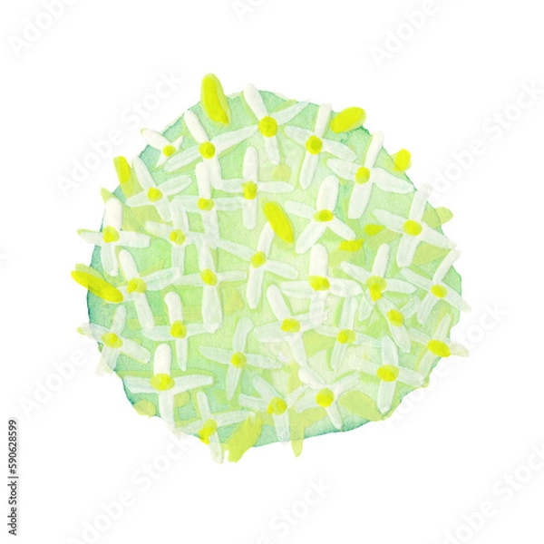 Obraz An image of a watercolor stain with white flowers