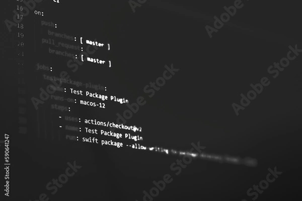 Obraz Swift config file, black and white selectable.