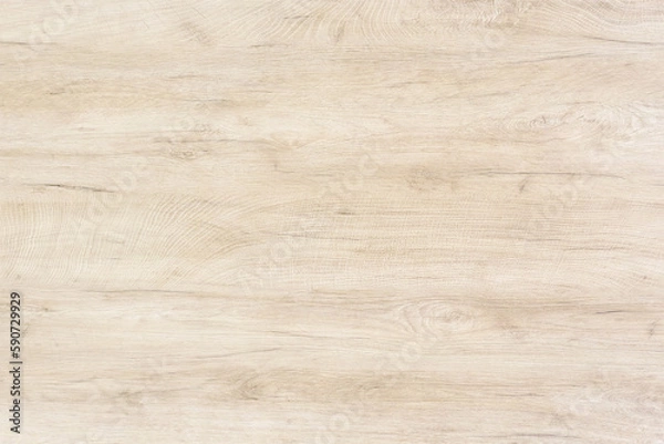 Obraz old wood background, light wooden abstract texture