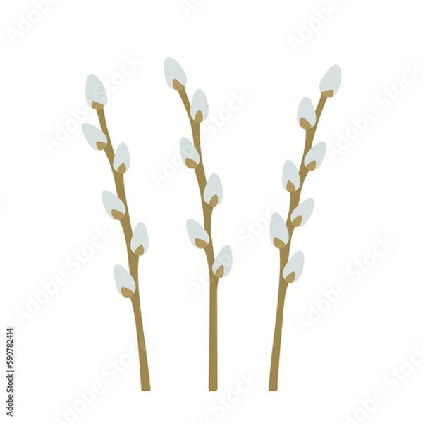 Fototapeta Set of pussy willow branches with buds. Spring easter plants. Palm Sunday. Hand-drawn colored flat vector illustration isolated on white background.