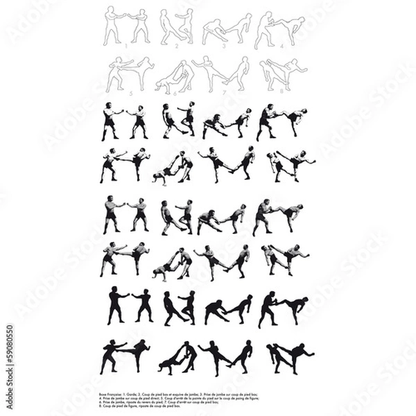 Obraz Boxe Française