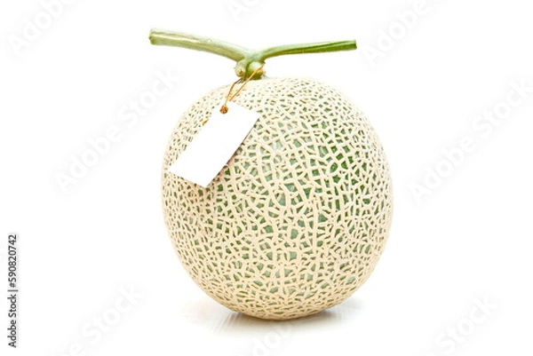 Obraz Green melon with white tag on white background. Fruit and nature food background