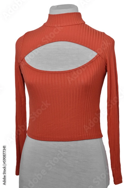 Fototapeta Blouse Top For Lady Rust orange color on white background on mannequin 