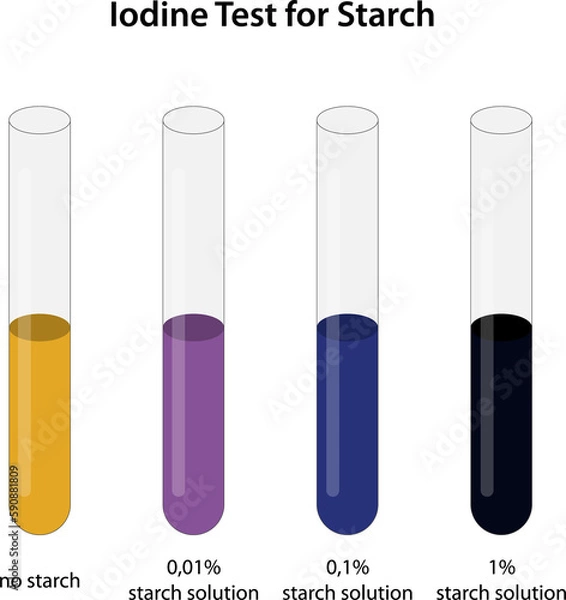 Obraz Iodine Test for Starch 